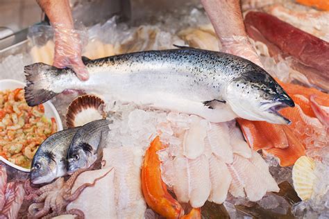 where to buy live fish